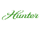 Hunter Fan