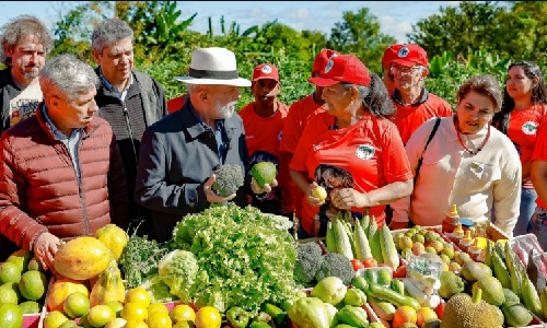 Índice de miséria despenca para o menor nível desde 2012 e confirma sucesso de Lula