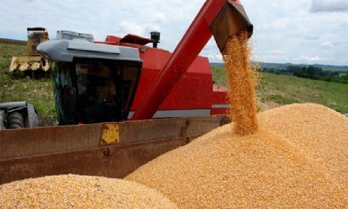 Governo prepara MP de dívidas rurais, com juros anuais de até 12%
