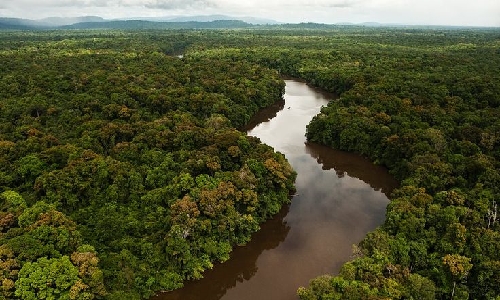 MapBiomas: Amazônia registra menor nível de desmatamento em 41 anos