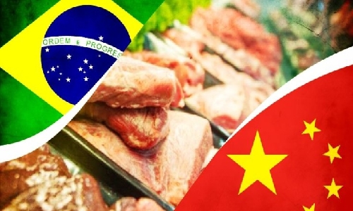 Brasil e China fecham acordo para exportação de miúdos suínos com potencial de US$ 100 milhões