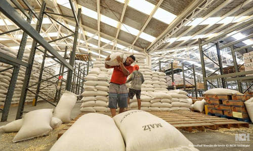 MST lança primeira fábrica de leite em pó em SP: ‘Temos que continuar ocupando o latifúndio’