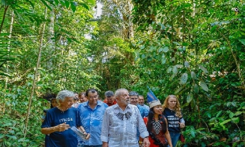 Proteção da Amazônia promovida por Lula cala protecionismo disfarçado dos EUA