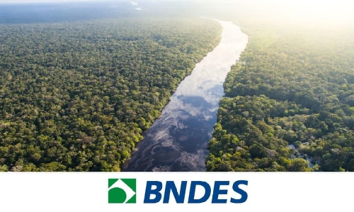BNDES aprova financiamento de R$ 200 milhões para reflorestamento e remoção de carbono na Amazônia