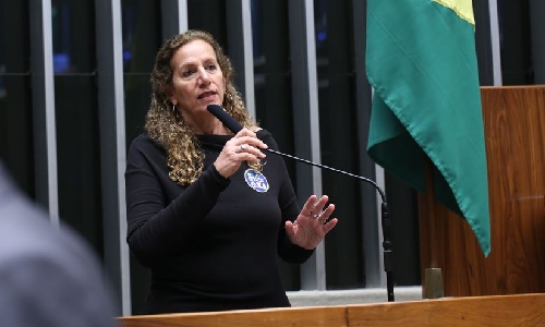 Jandira pede que STF torne pública relação de Flávio Bolsonaro com dinheiro do Dark Horse